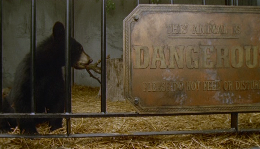 Snapz Pro XScreenSnapz032.png