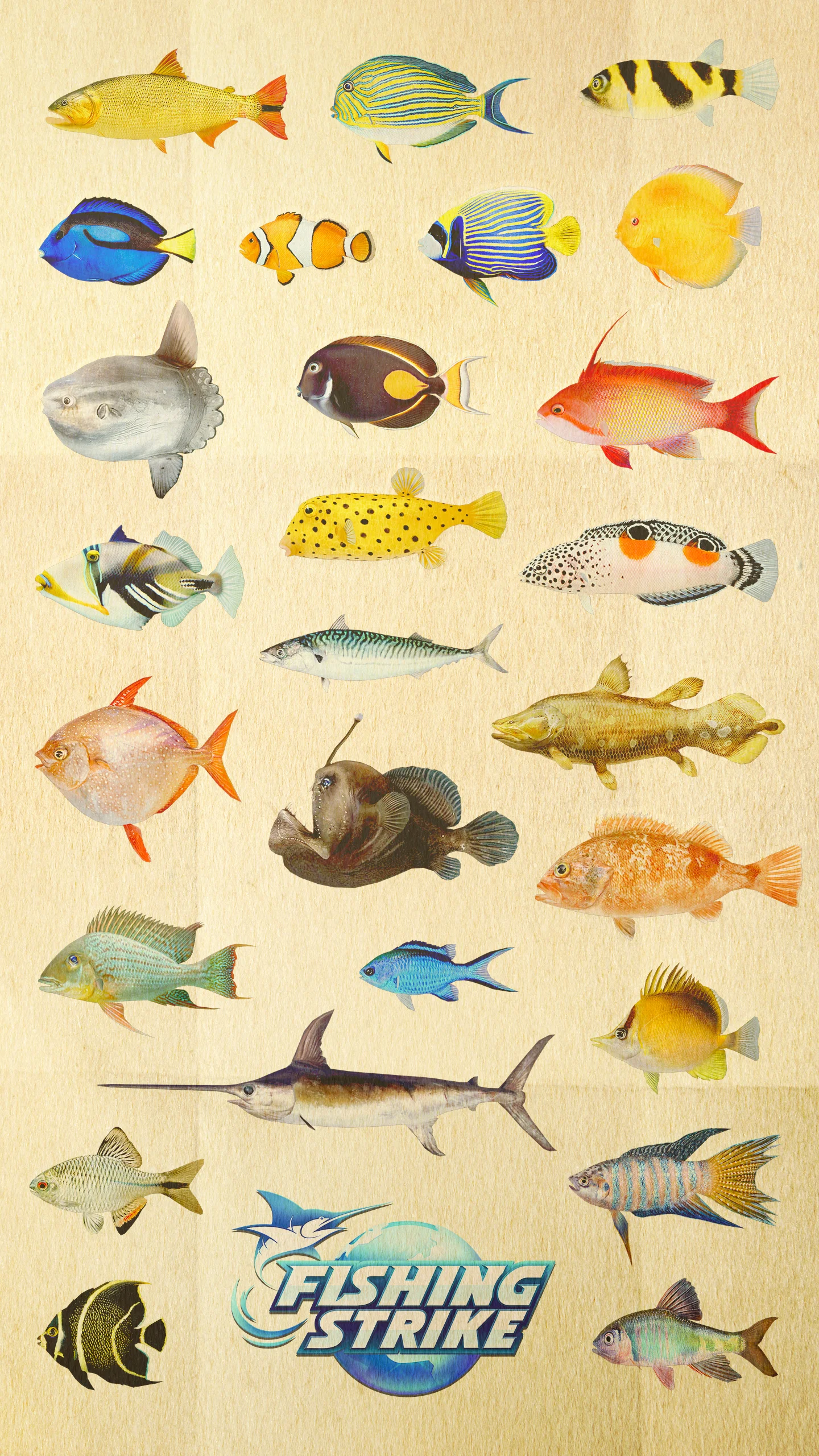 091118_FishWallpaper_CD1542.jpg