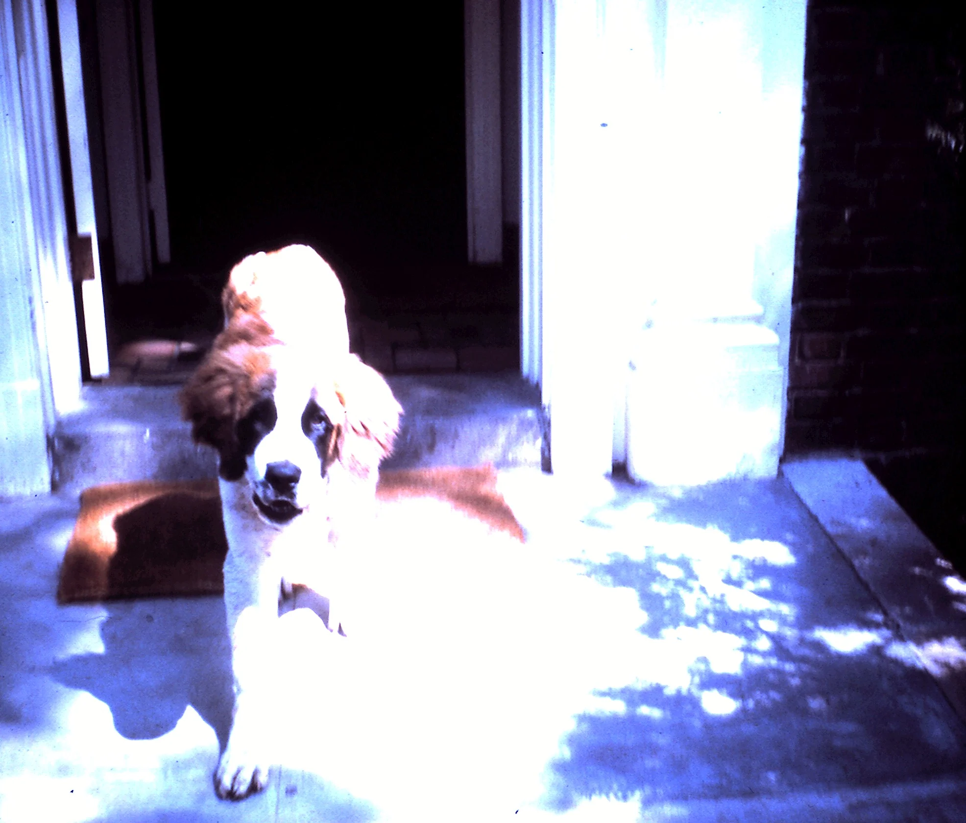 Major, the chapter house St. Bernard, 1963