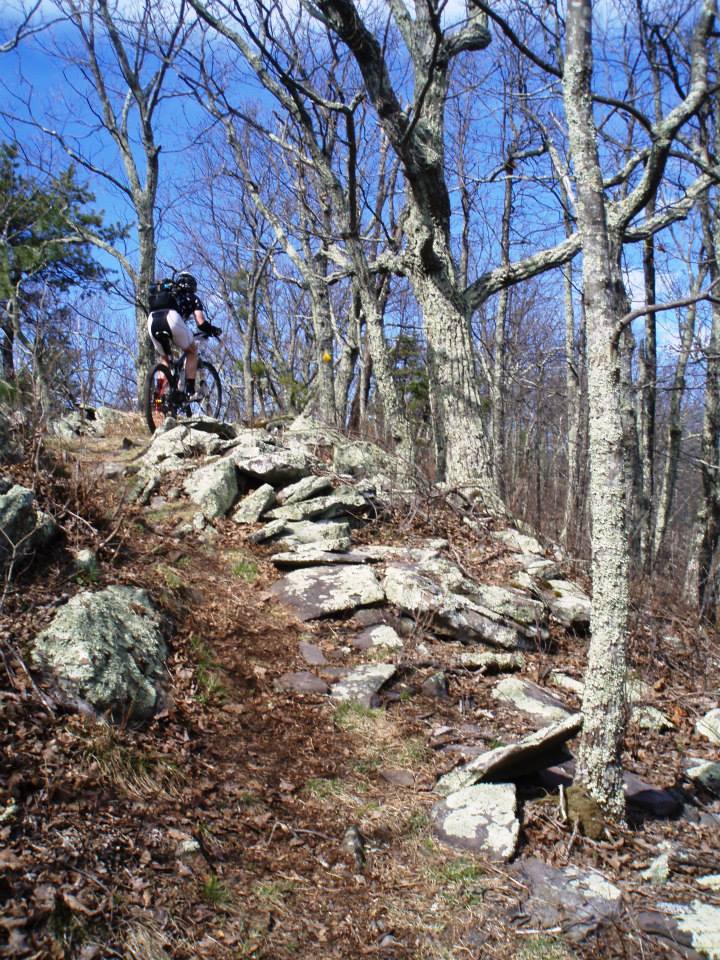 Rider Ben Brown Photo by Paul Sullivan