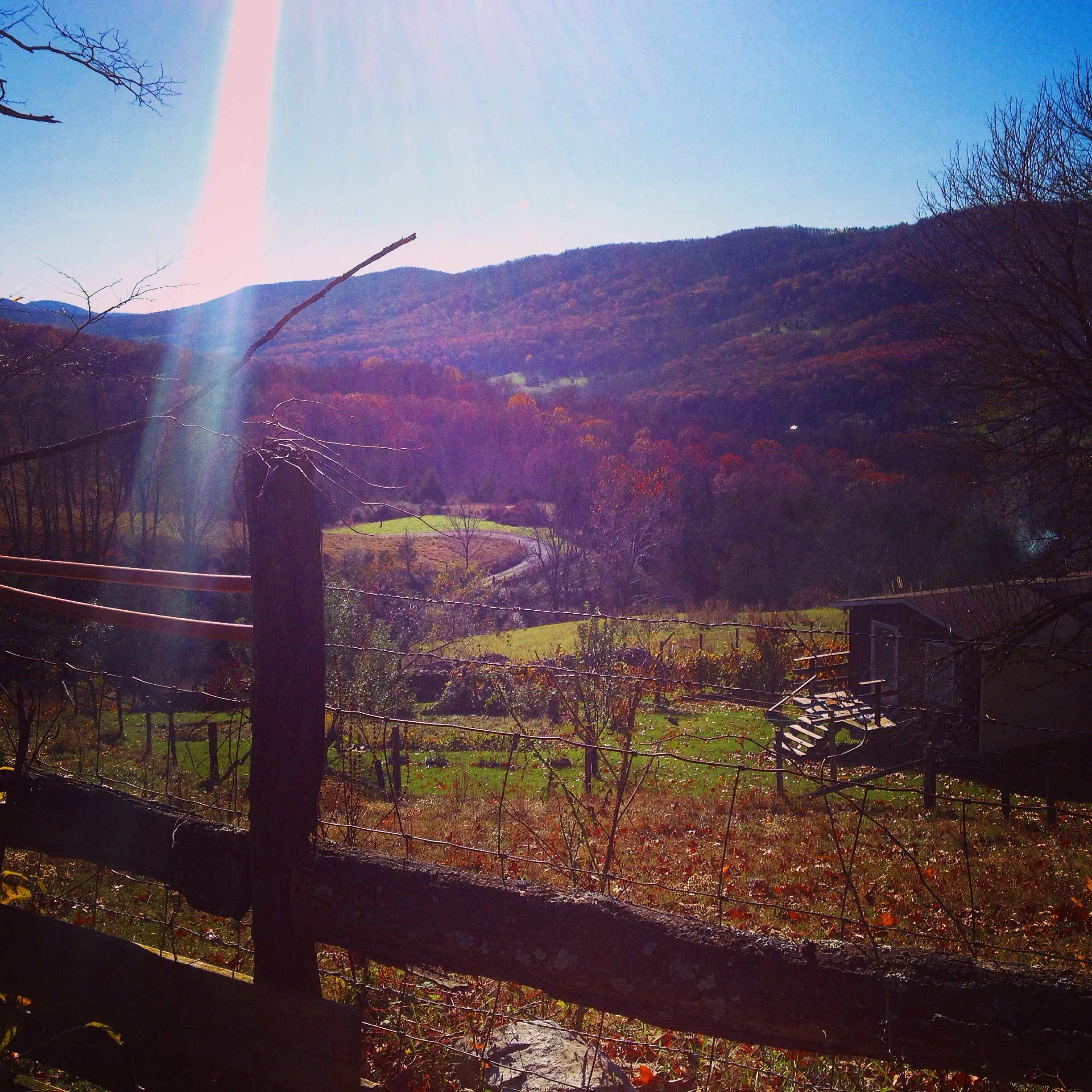 Another view of West Virginia from the west side of Great North Mountain.