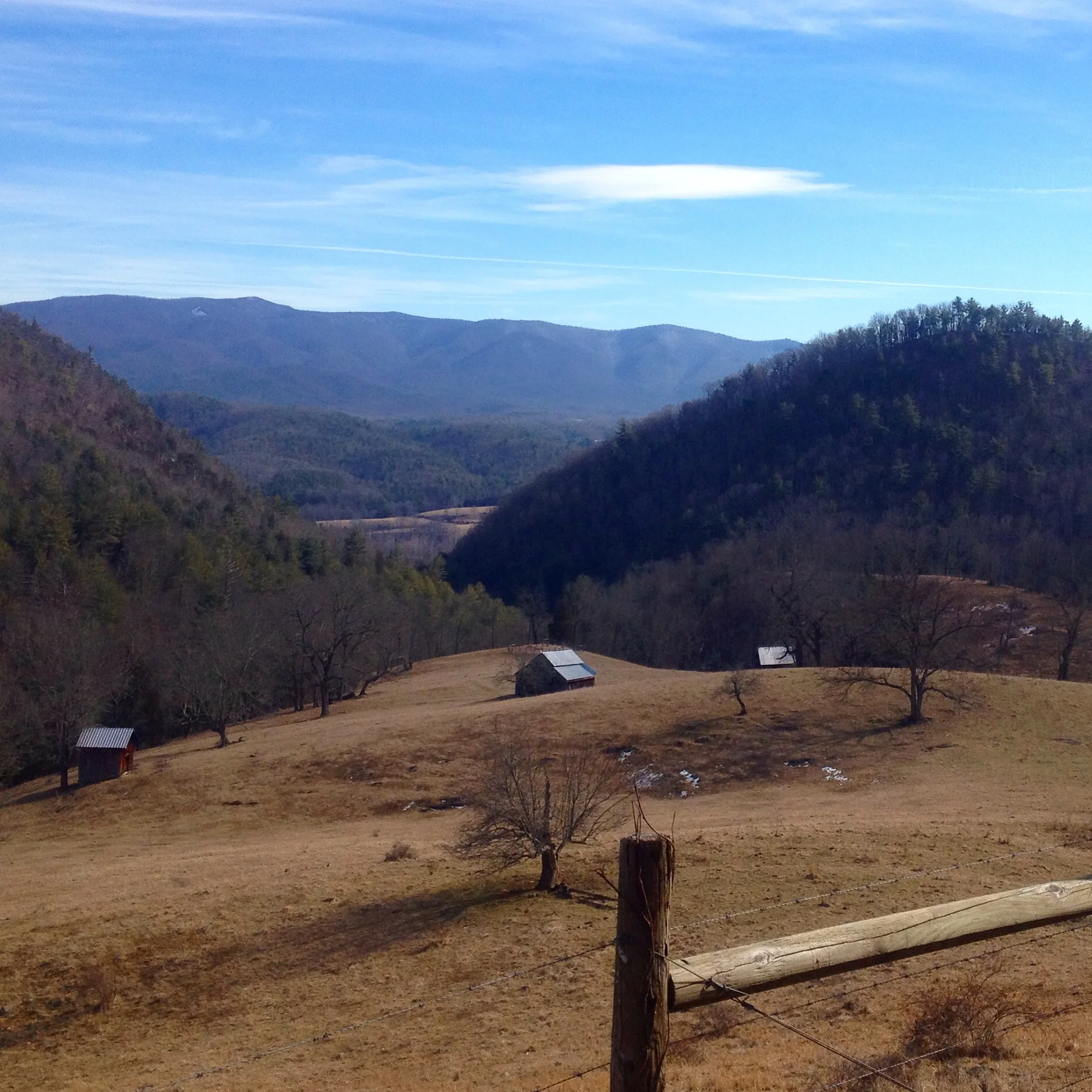 Atop Moyers Gap looking back at Reddish Knob