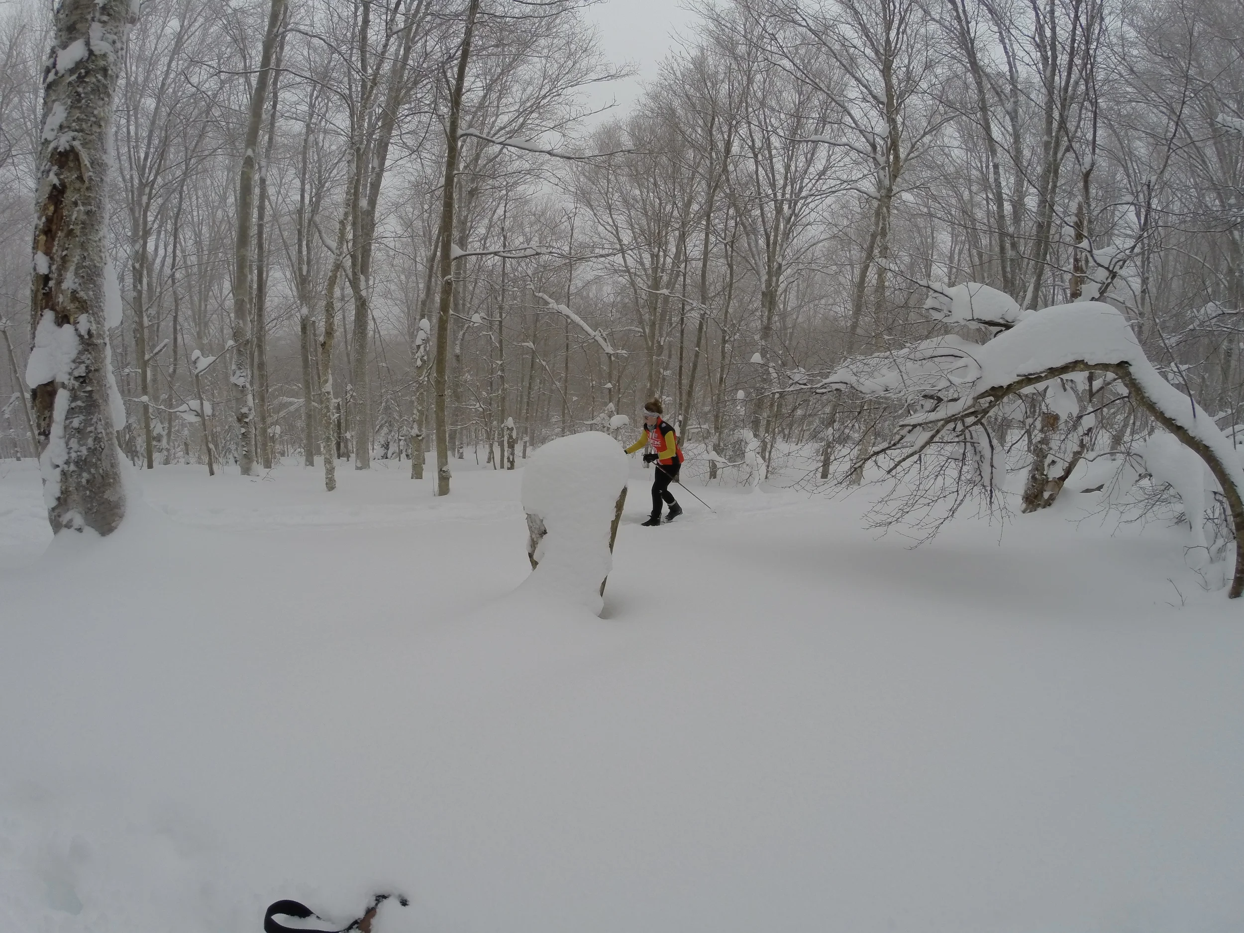 Like back woods single track the ski trails switch back up the snow blasted mountain into a winter wonderland