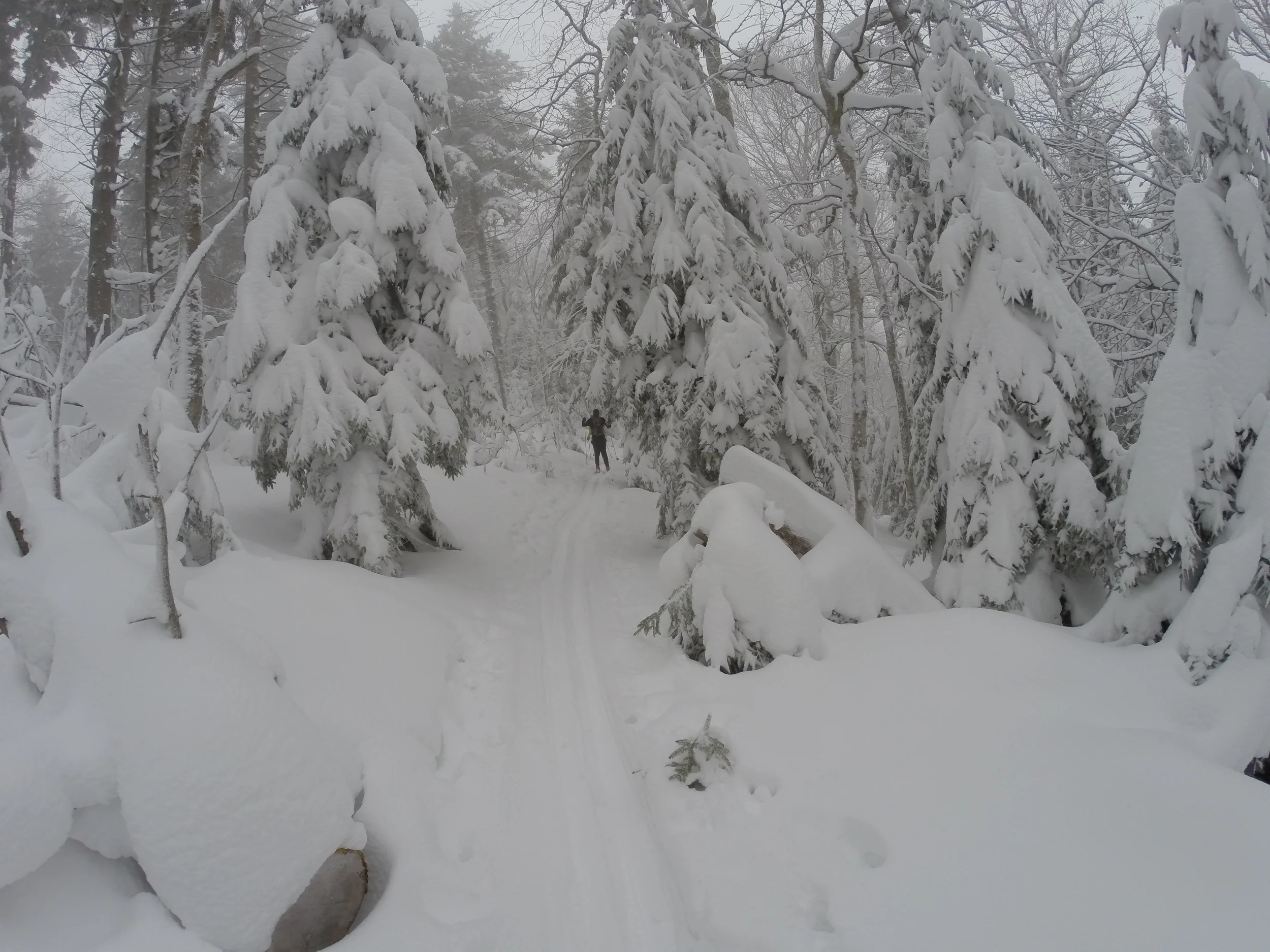 On top of the mountain the pine trees are like a fairy tale, tall skinny pine trees blanketed in heavy snow gives you a surreal closed in feeling.