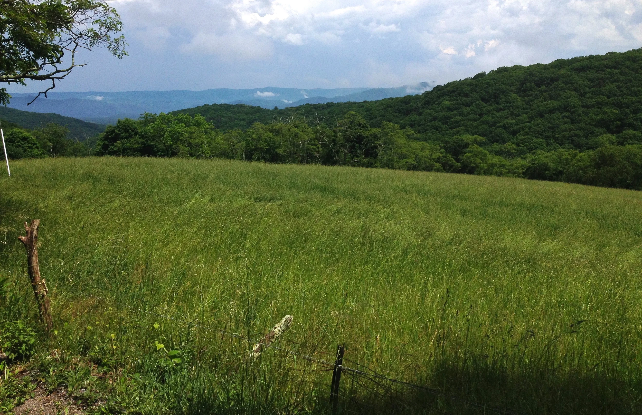 Another shot of manicured grass at the top of the mountain.