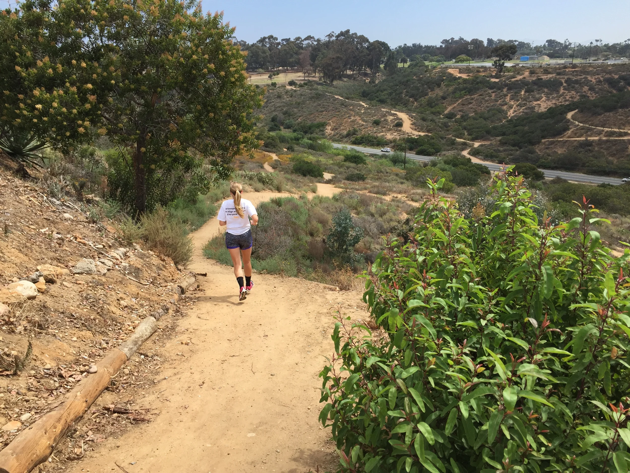 Trails in San Diego on a beautiful day