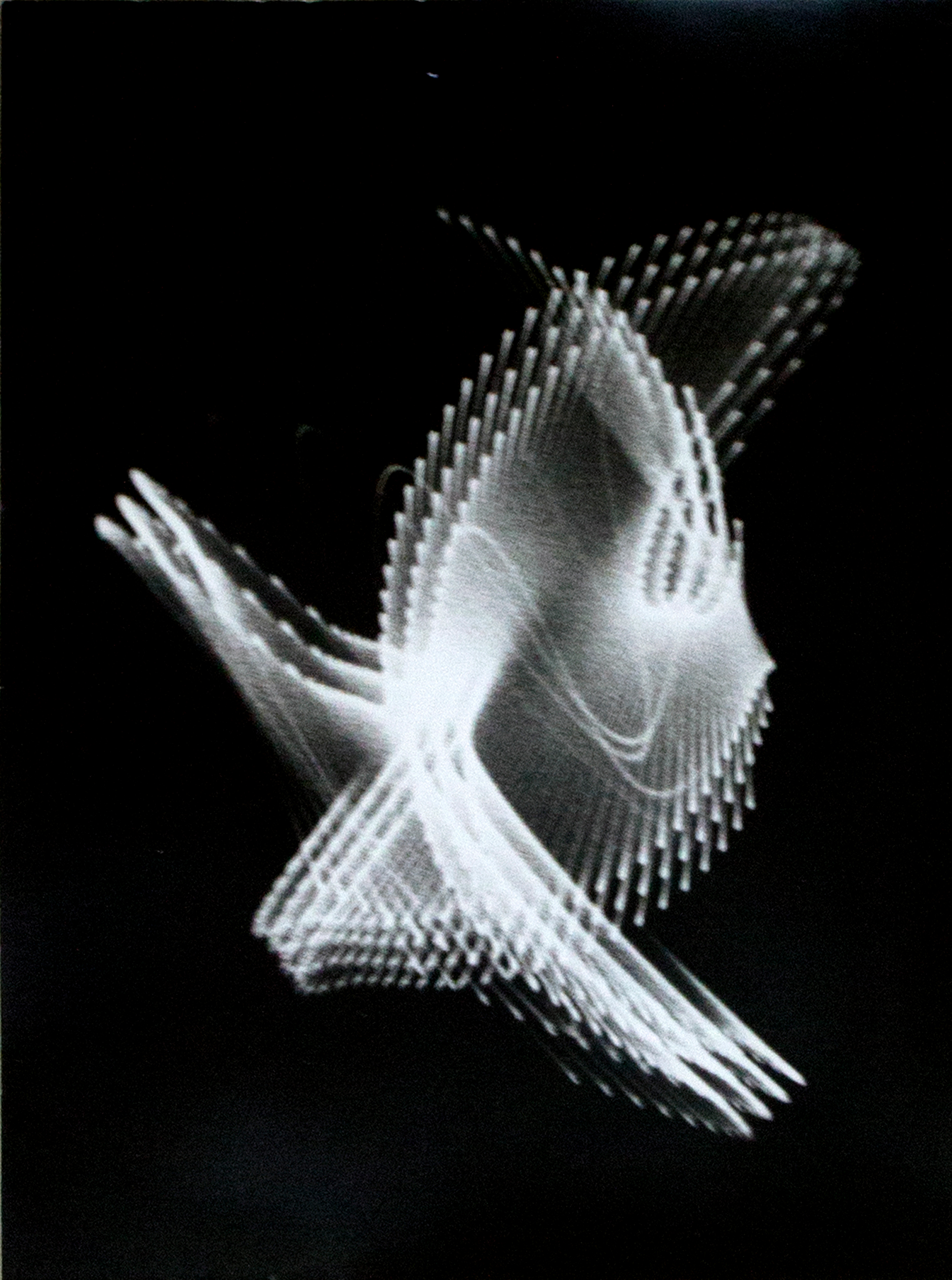  Ben Lapofsky  Electronic Abstraction #4, oscilloscope, high speed film, photo paper, 16.5"x13", 1954-56 