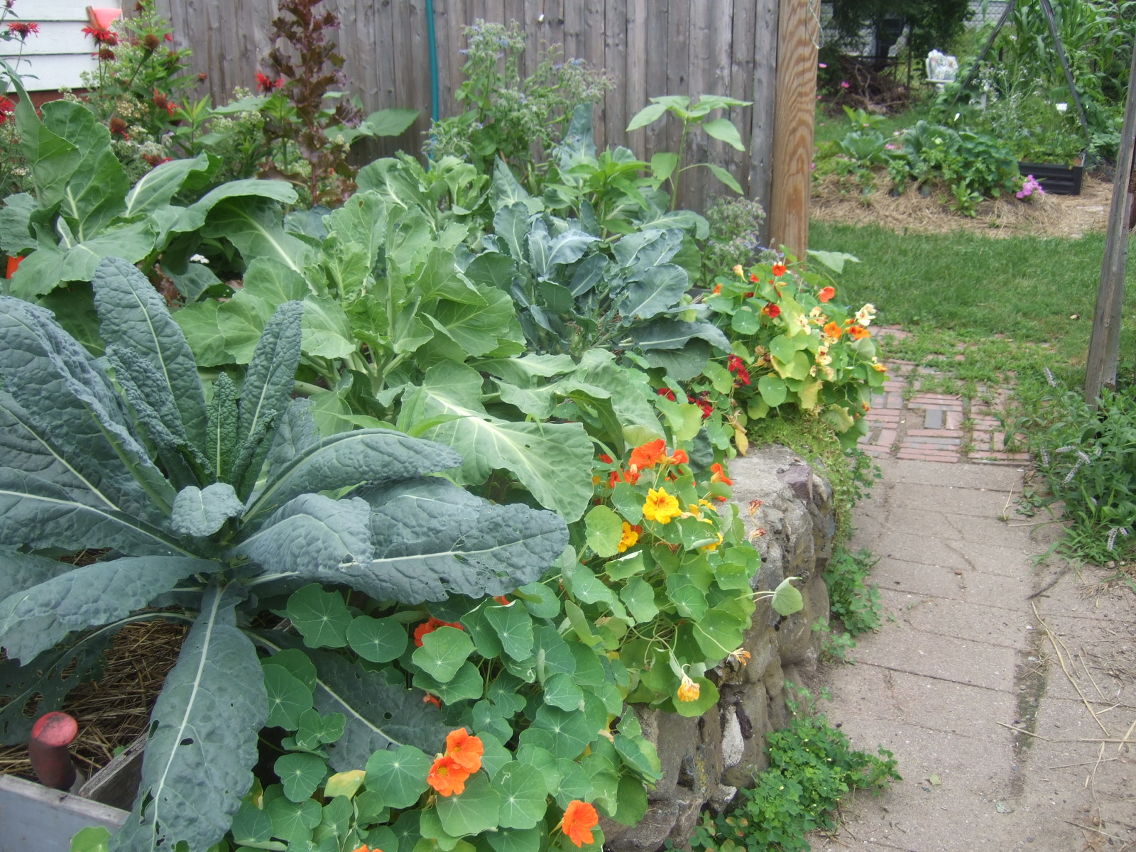 RaisedBed.jpg