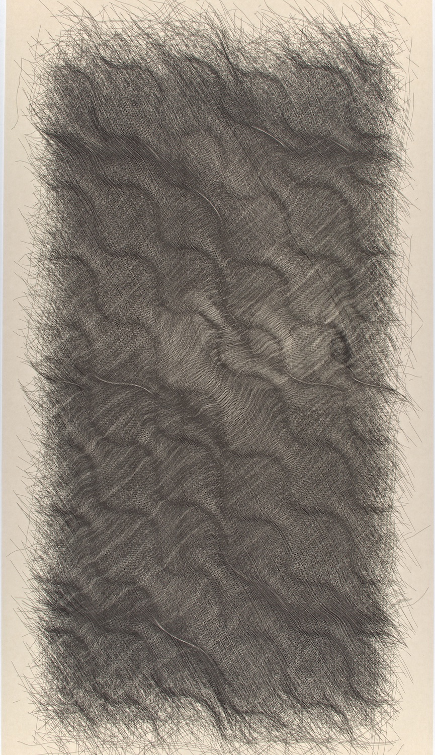  H1   Digital drawing, inkjet pigments, 2011    Art : 33.5”x16.75”&nbsp;    Paper: Niyodo natural,     35”x17”  