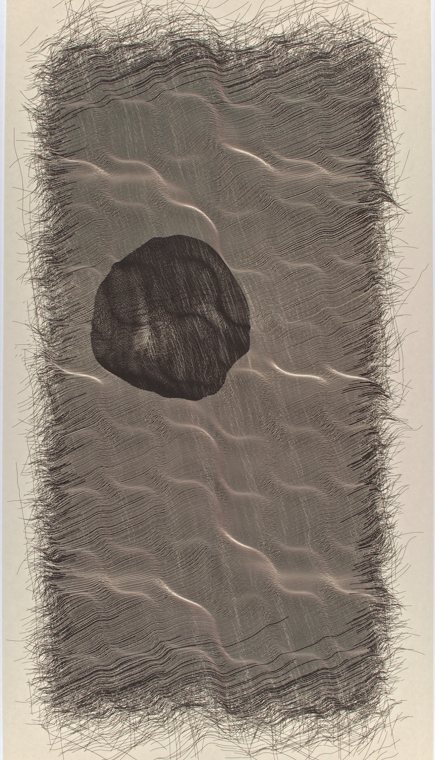  H2   Digital drawing, inkjet pigments, 2011    Art : 33”x16.5”&nbsp;    Paper: Niyodo natural,     35”x17”  