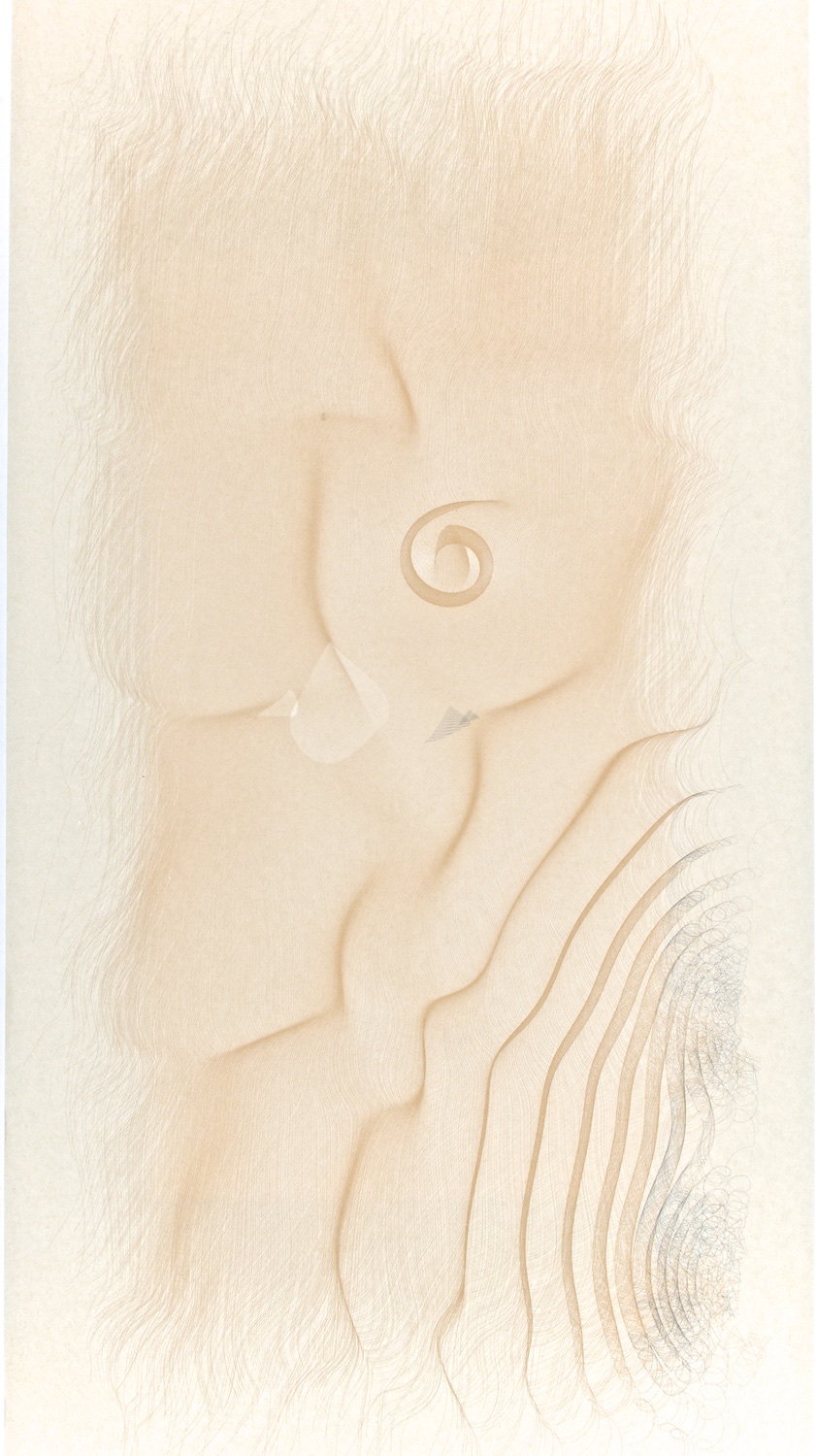  G3    Digital drawing, inkjet pigments, 2013    Art : 33.75”x16”&nbsp;    Paper: Niyodo natural,     35”x17”  