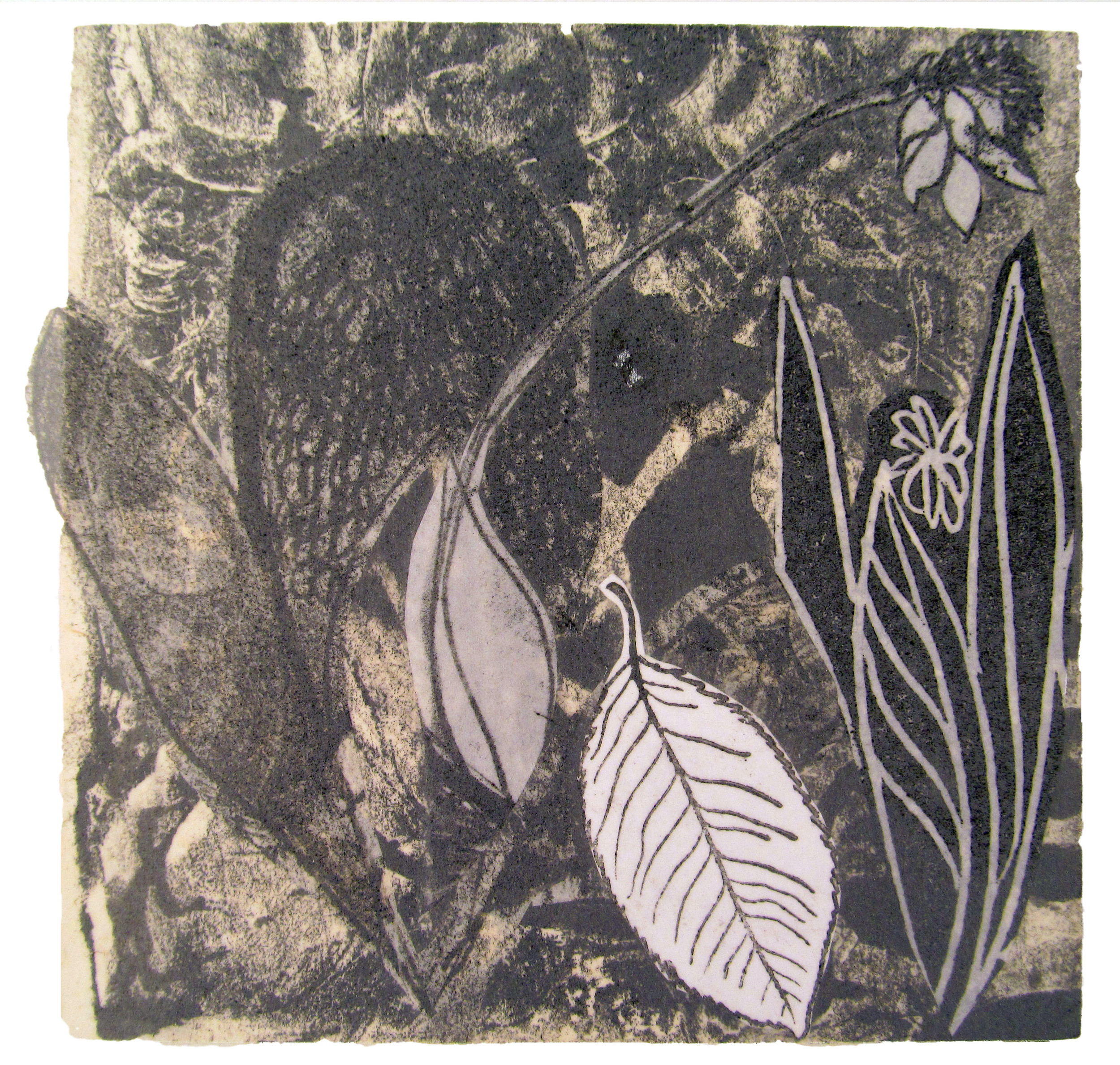  Apart of a series of monoprints, linoleum cuts, and chine-collé prints on vellum and handmade paper.  $475 