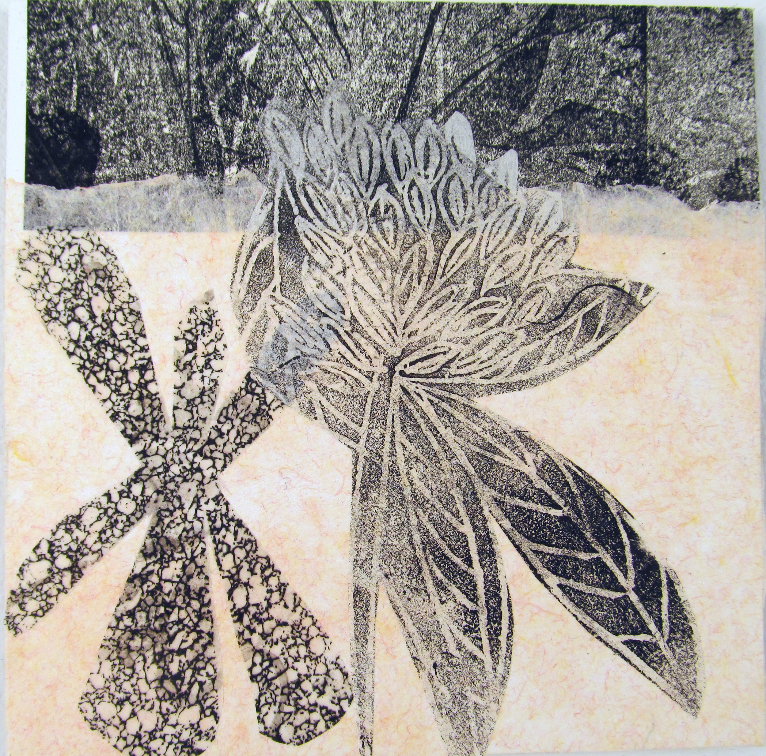  Apart of a series of monoprints, linoleum cuts, and chine-collé prints on vellum and handmade paper.  $475 
