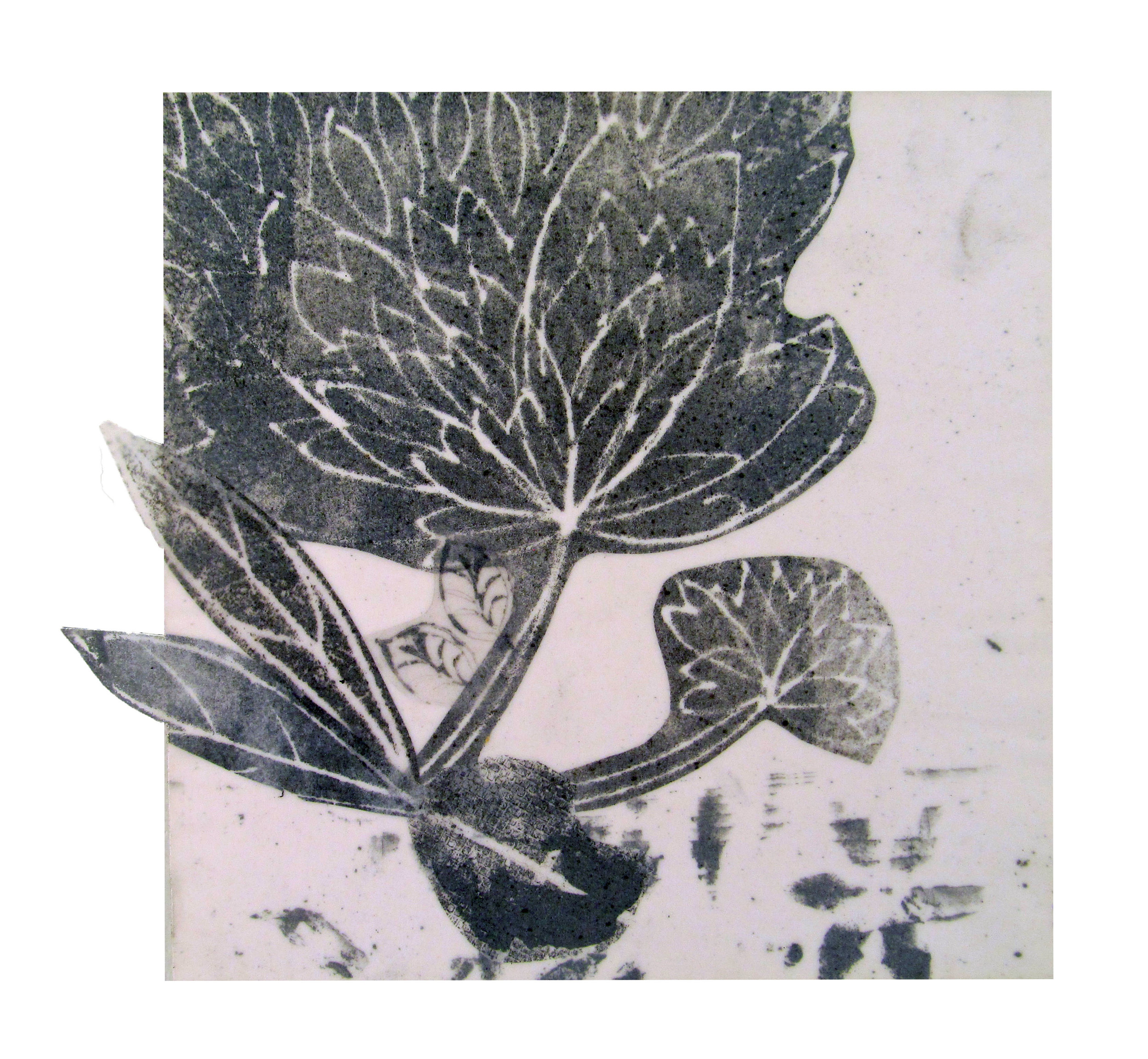  Apart of a series of monoprints, linoleum cuts, and chine-collé prints on vellum and handmade paper.  $475 