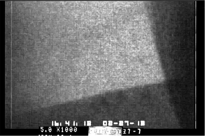 Sample Microscope Image with overlaid MetaData