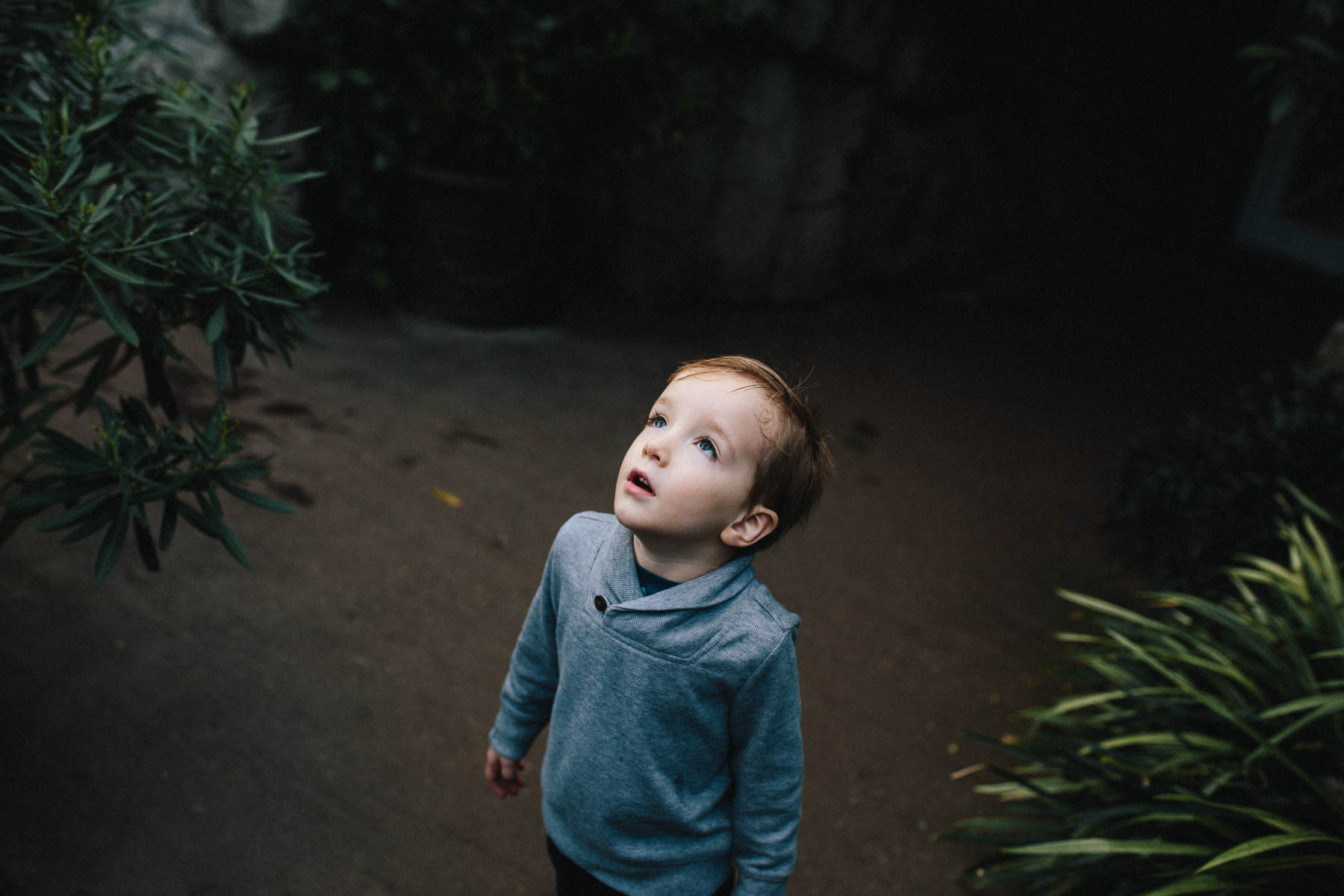 Everyday Adventure: Brooklyn Botanical Garden Conservatory
