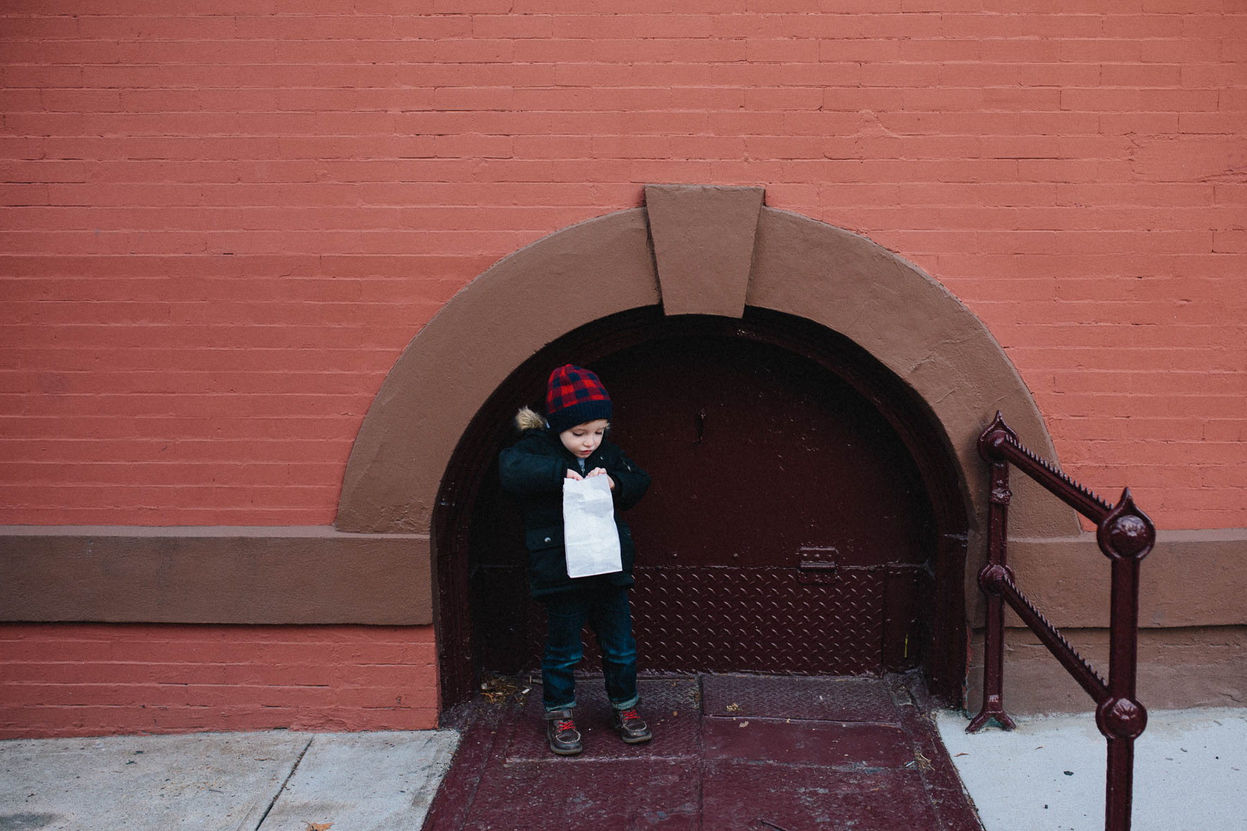 Everyday Adventure: Brooklyn Botanical Garden Conservatory
