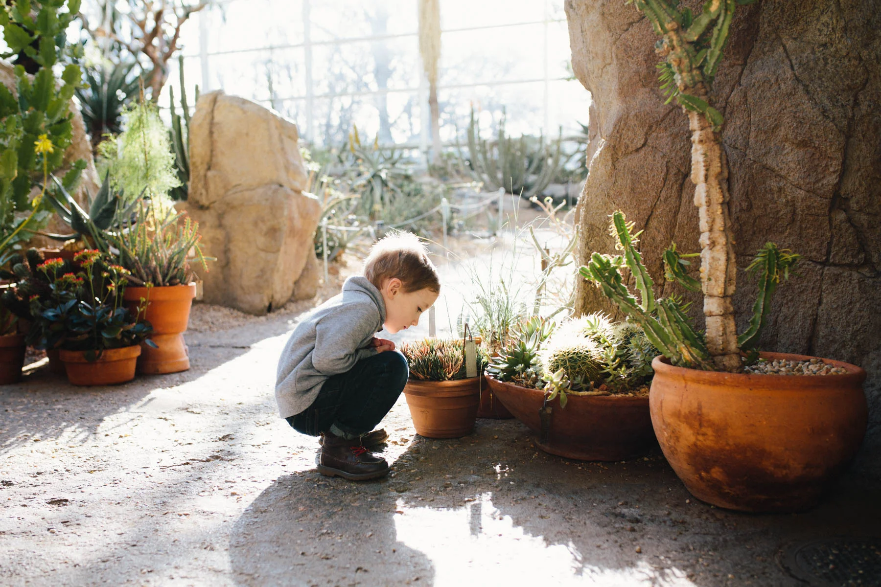 Everyday Adventure: Brooklyn Botanical Garden Conservatory