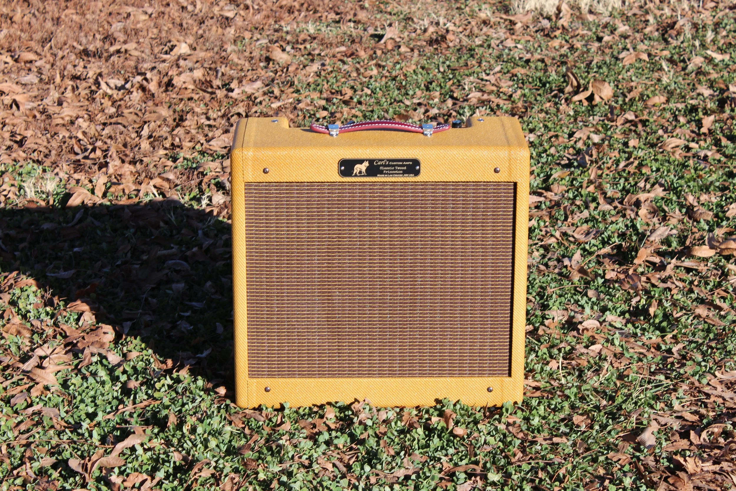 Classic Tweed Princeton Combo