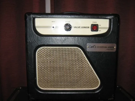 Epiphone Valve Junior Cab/Chassis with Supro Style Harnd wired Circuit