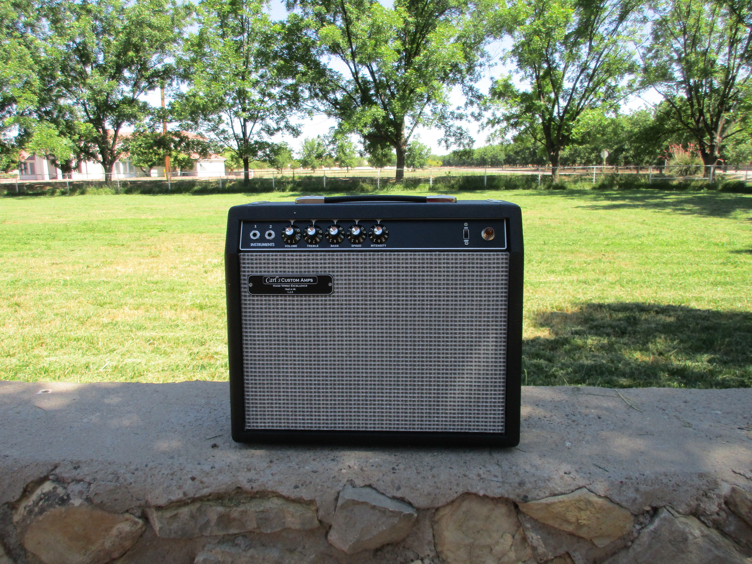 Here's a Vibro-Champ style amp I made custom for customer. Very nice indeed for someone wanting low wattage amp with killer trem!