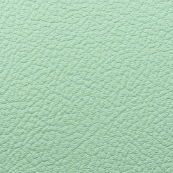 Seafoam Green