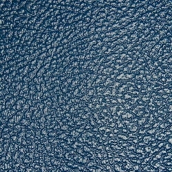 Navy Levant