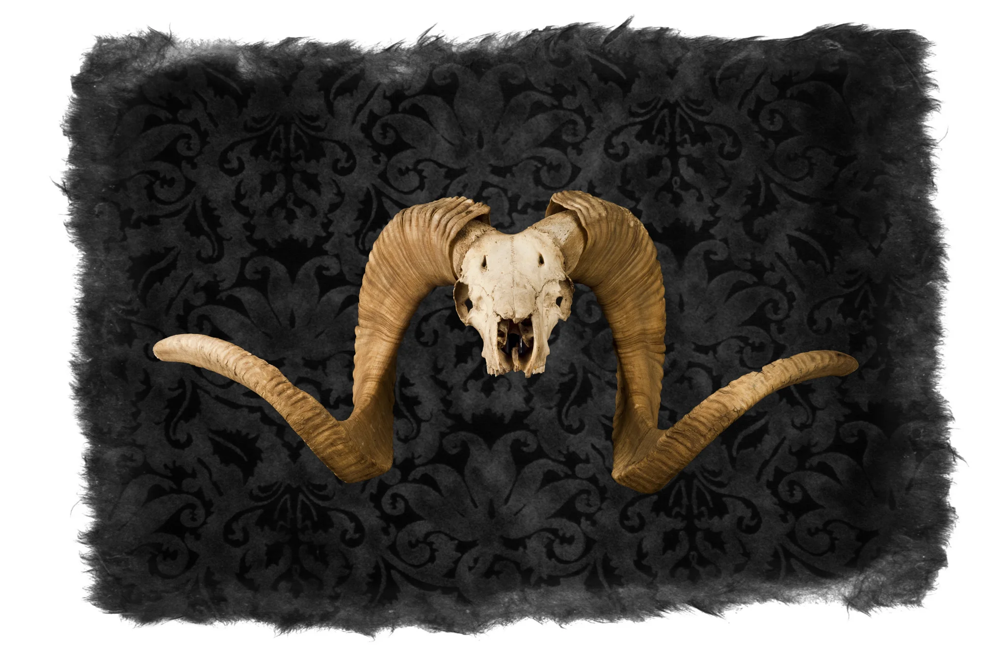 Sean_Adam_Media_Suite_ April_2013__SAE0582final6x7_0112.jpg