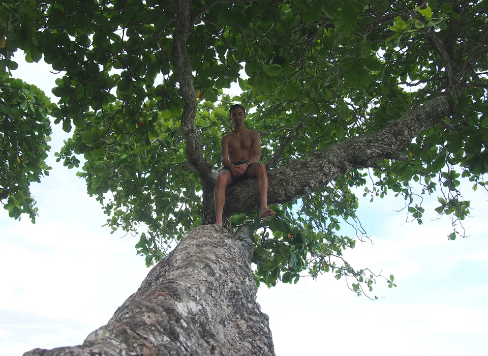 Tommy in a tree.jpg