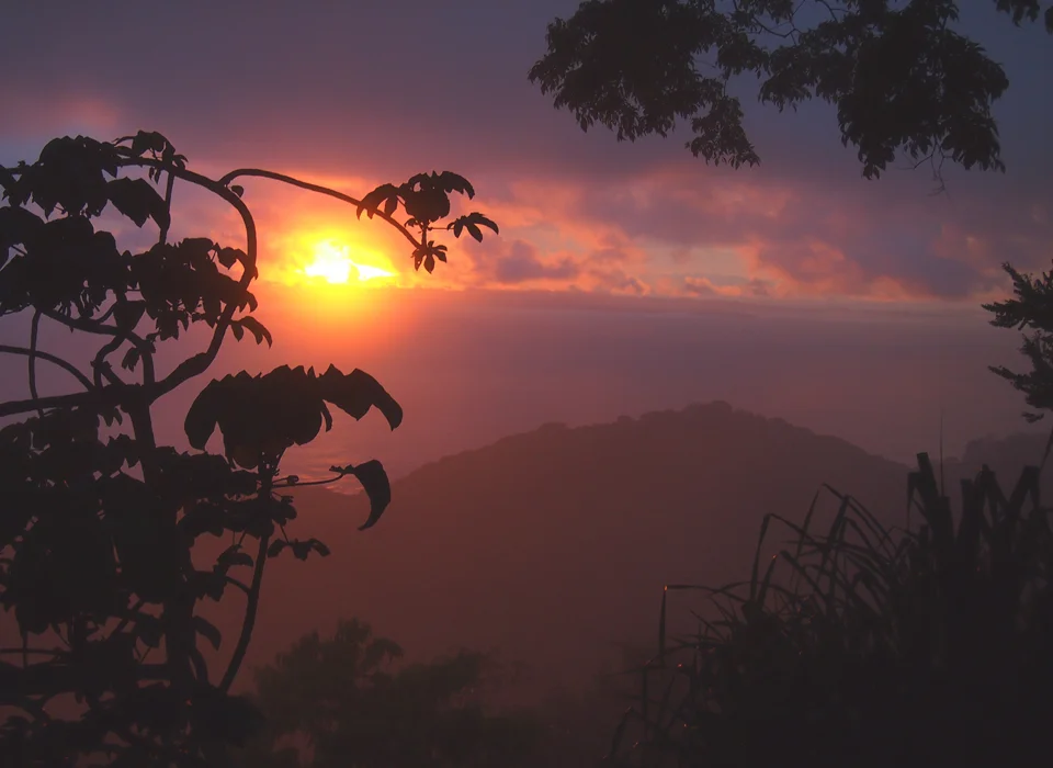 Purple Sunset.jpg