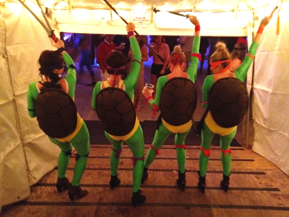 The Turtles.jpg
