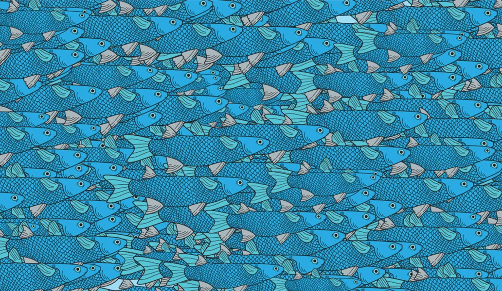 fishwallgraphic.jpg
