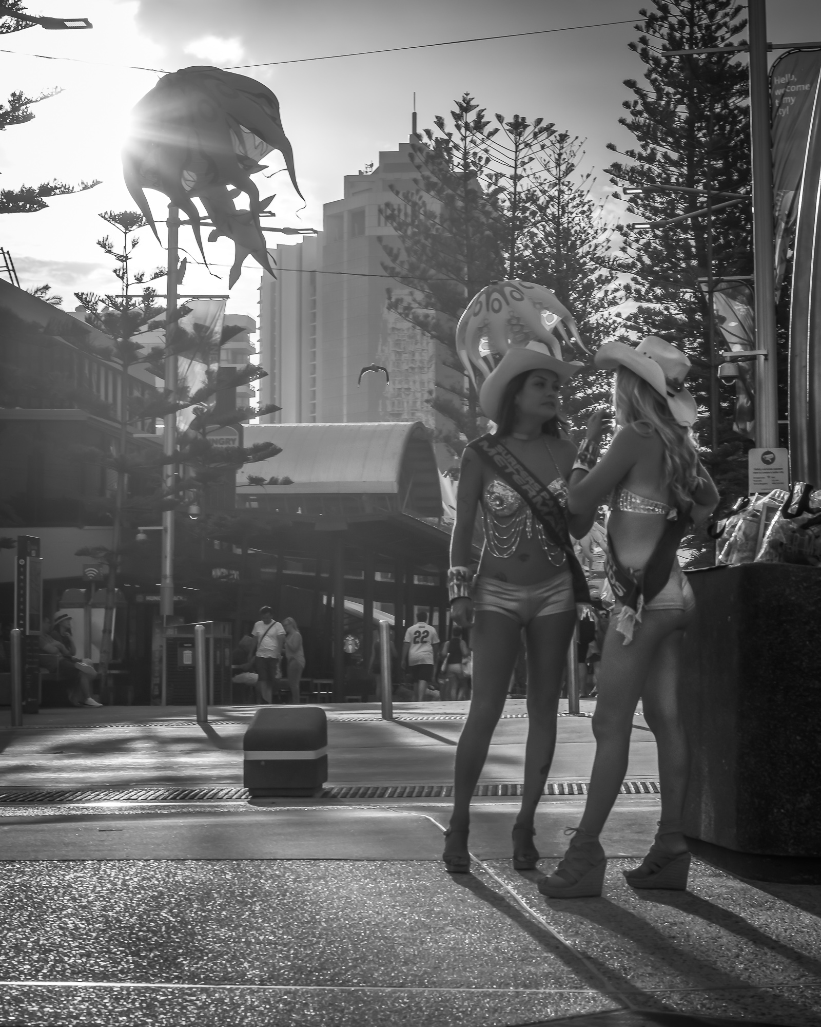 Gold Coast Meter Maids