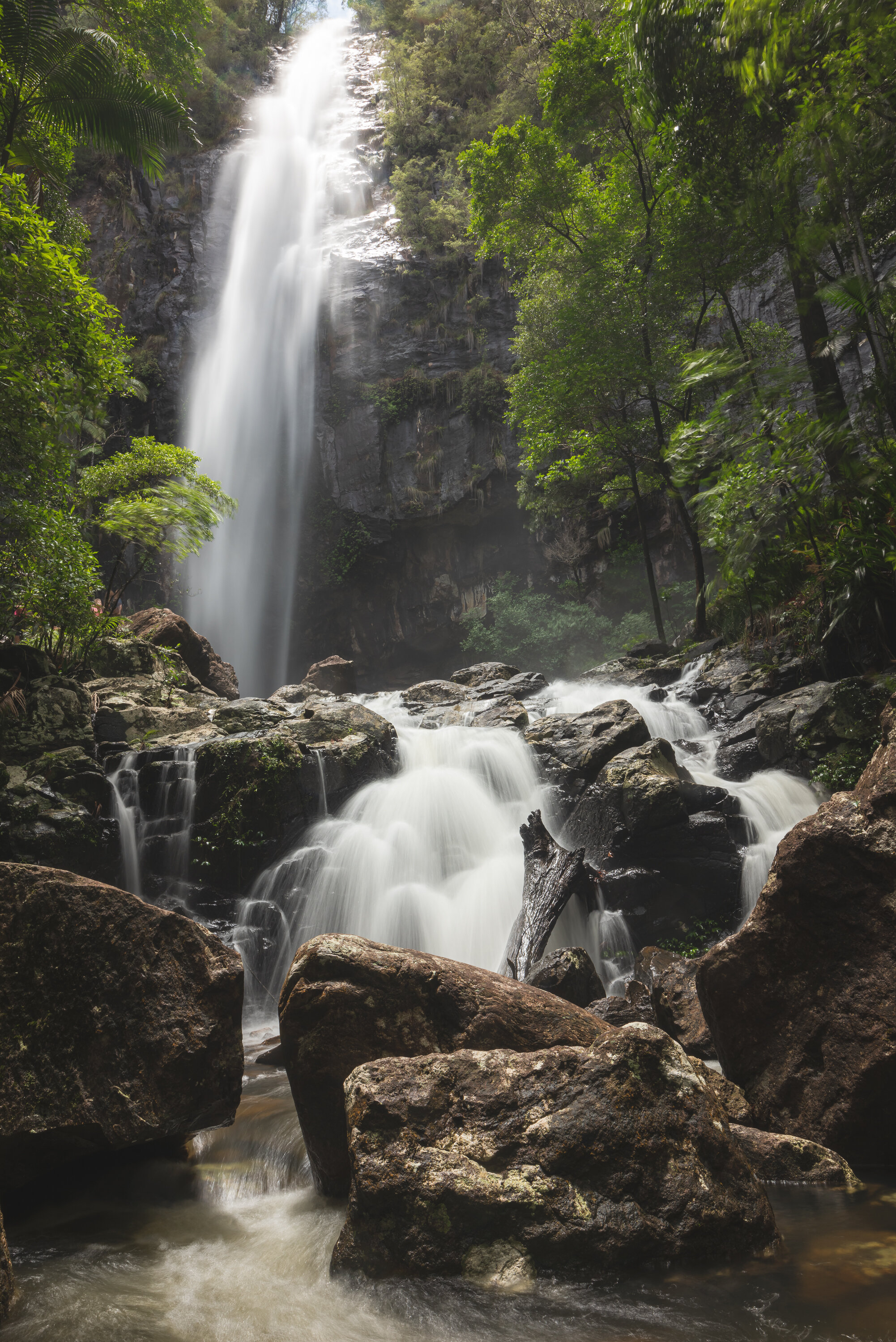 Protestor falls. Nightcap National Park