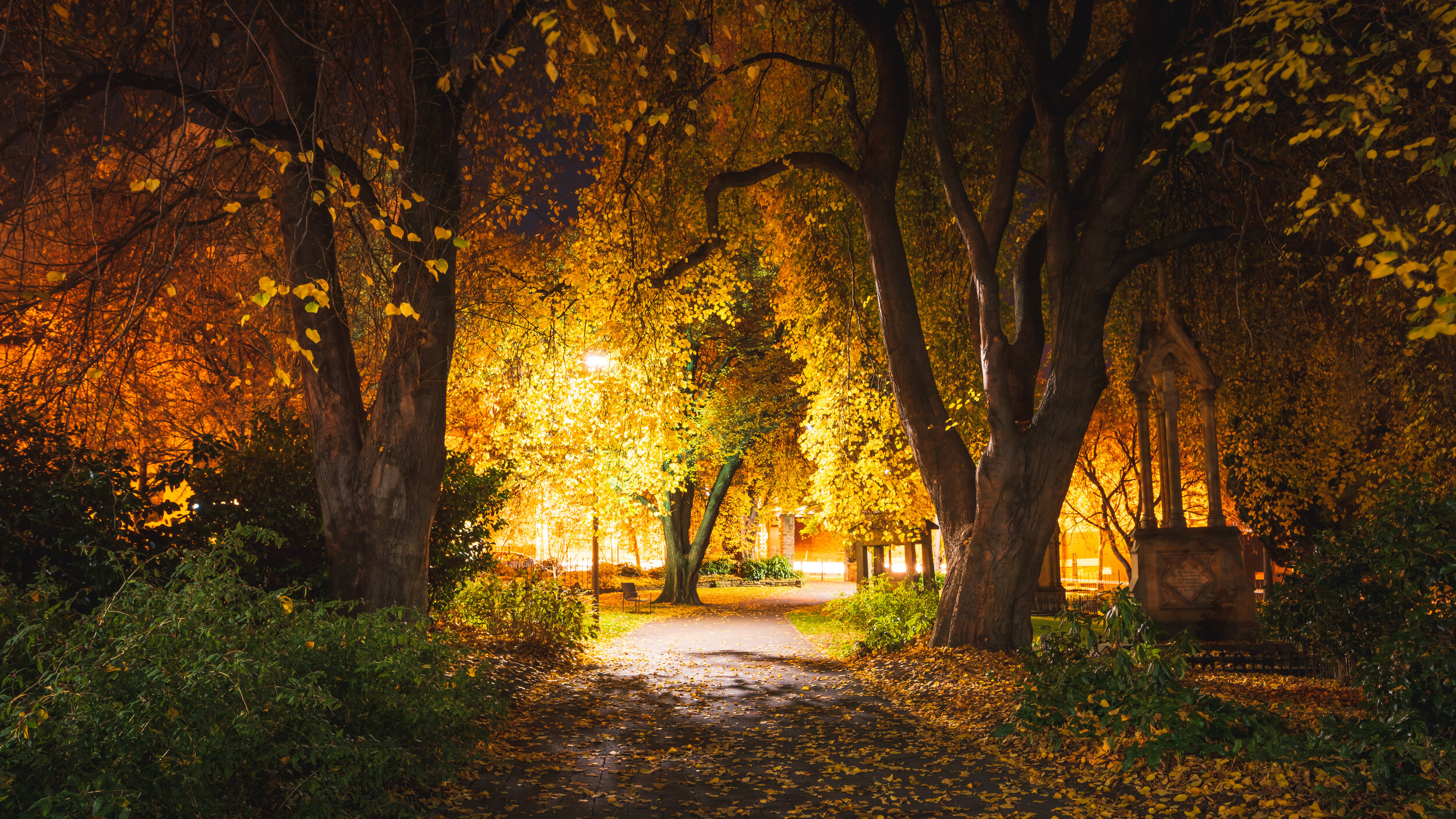 St David's Park. Hobart, Tasmania #1