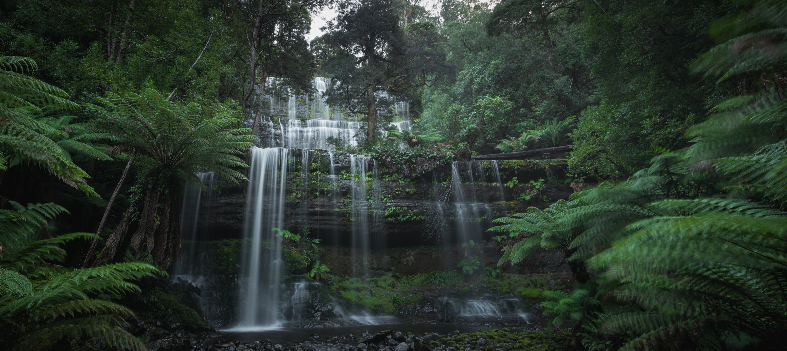 Russell Falls, Mt Field National Park, Tasmania #3