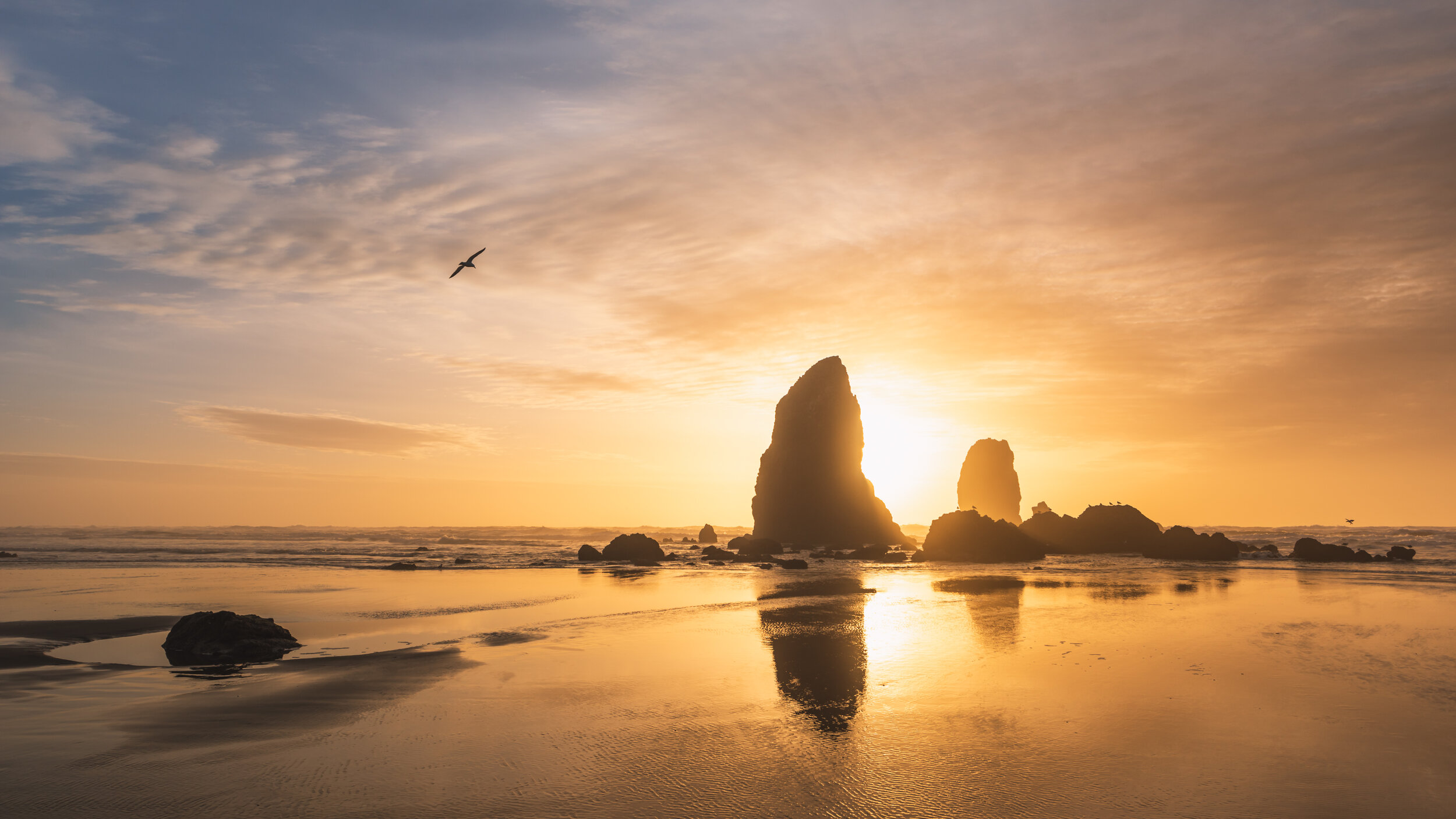 Cannon Beach, Oregon #4