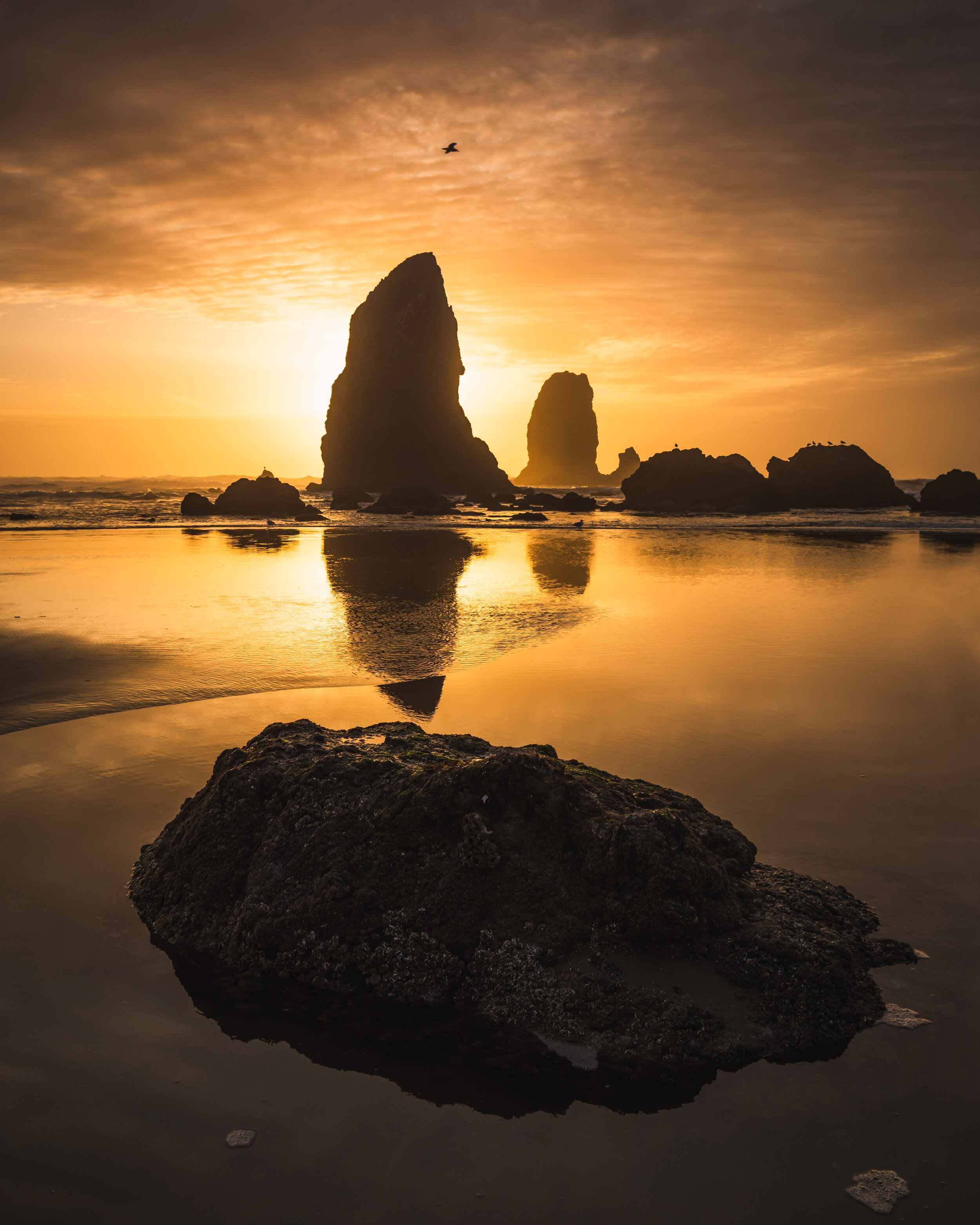 Cannon Beach, Oregon #3