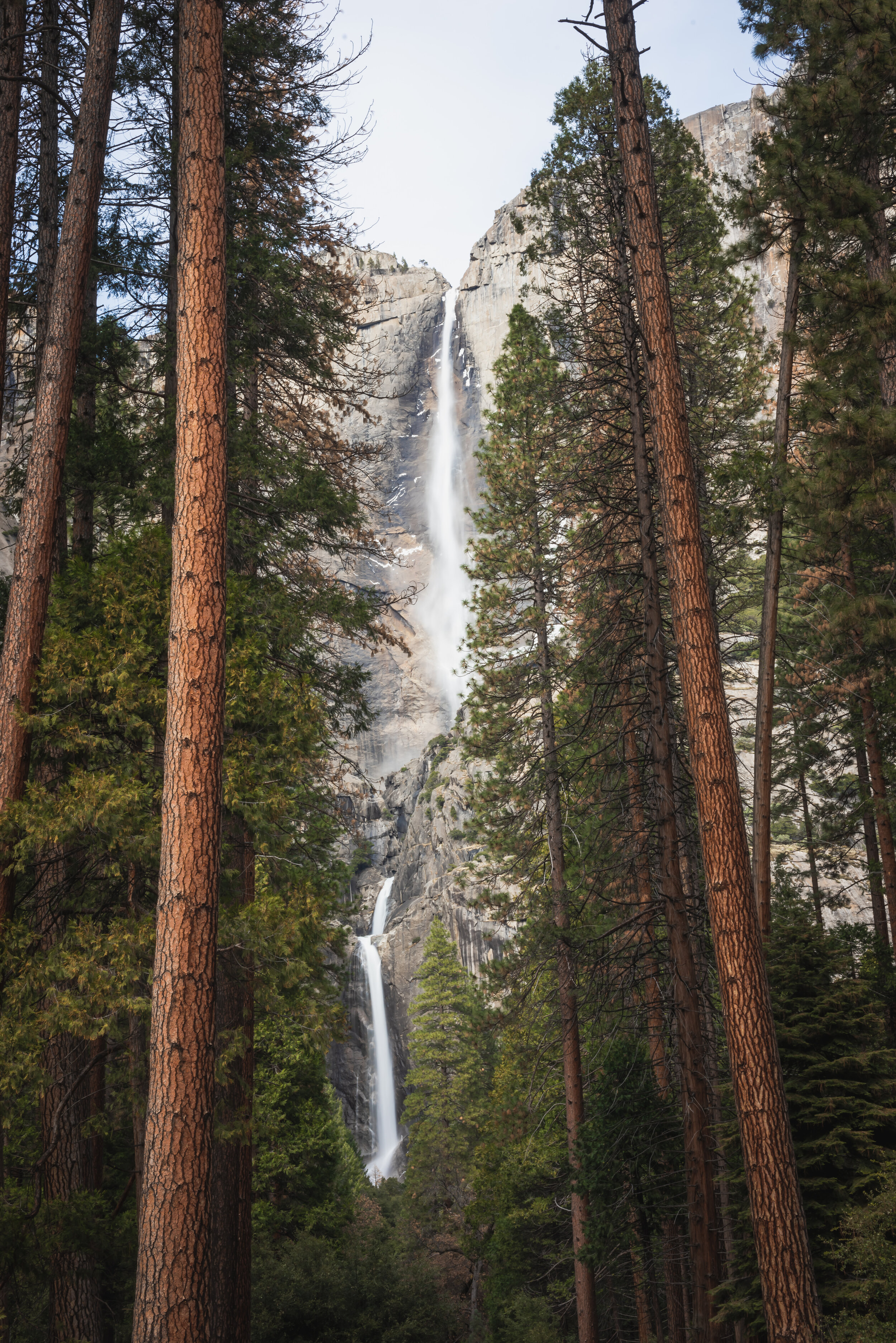 Yosemite Falls. Yosemite National Park, California 