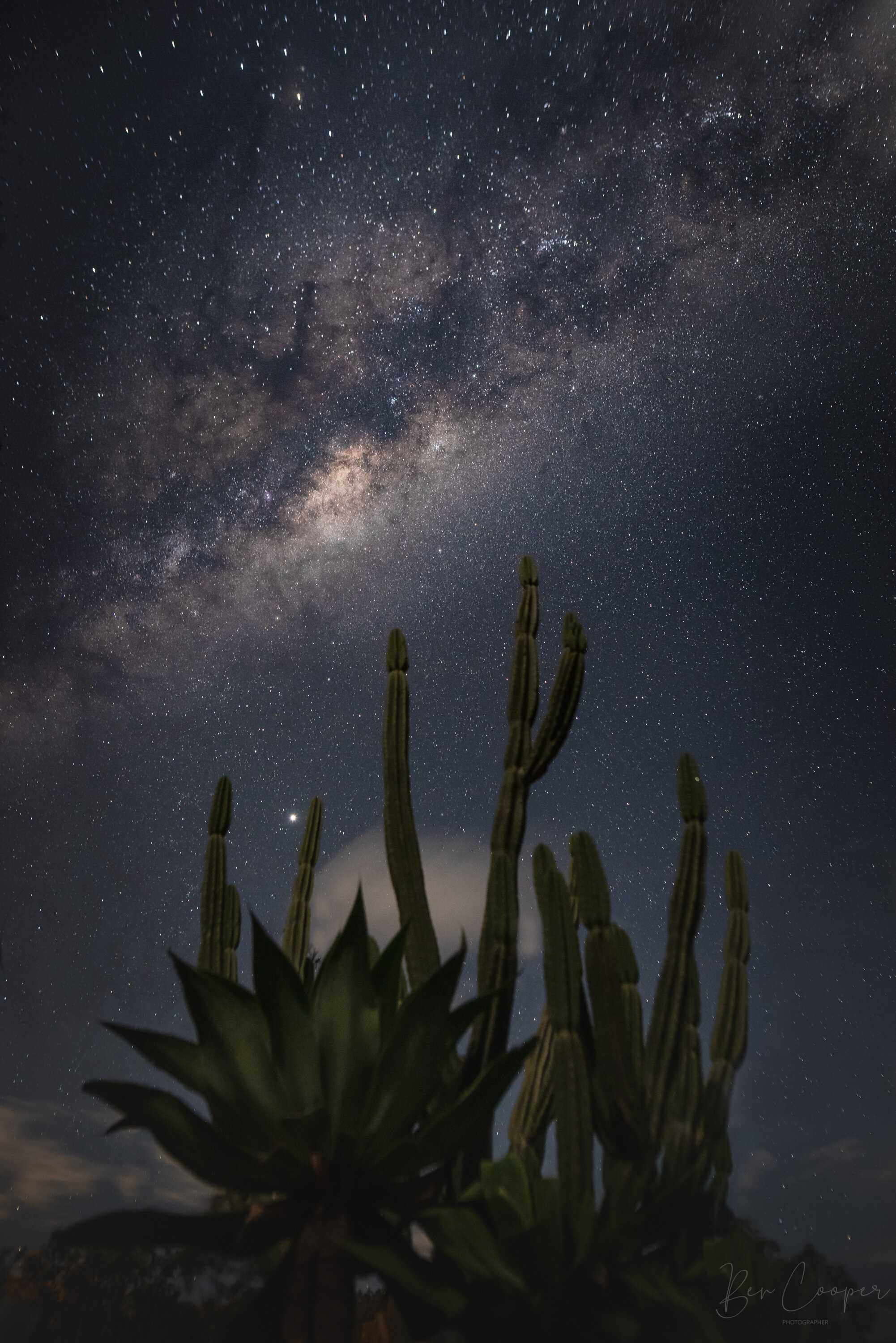 Cactus and Milky Way