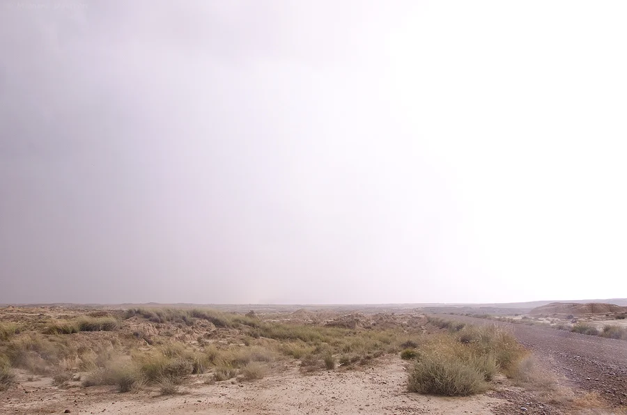 bardenas 078.jpg