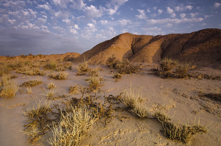 bardenas 139.jpg