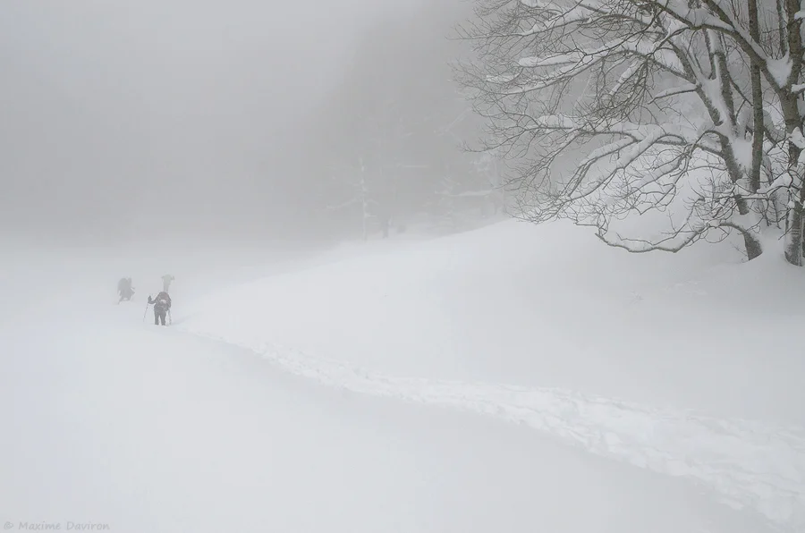 neige 012.jpg