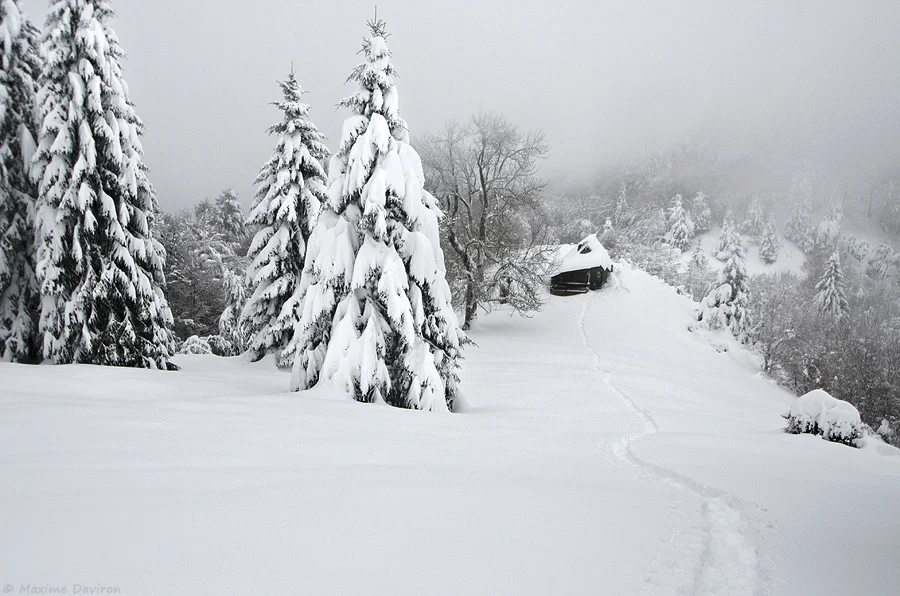 neige 094.jpg