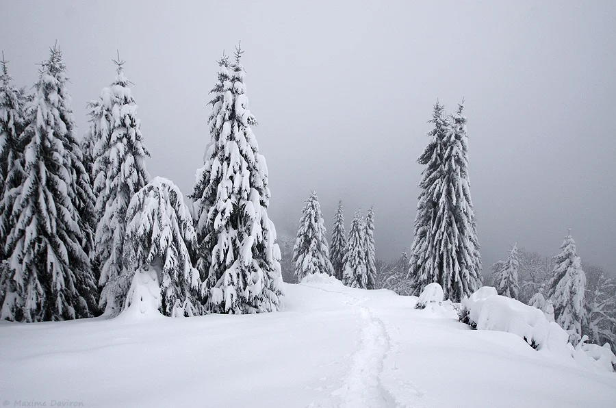 neige 099.jpg