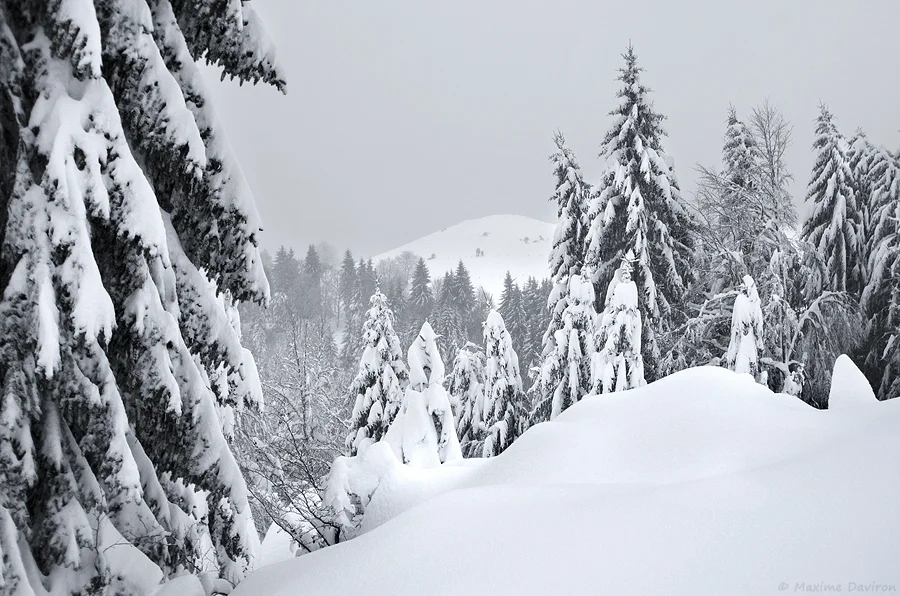 neige 129.jpg