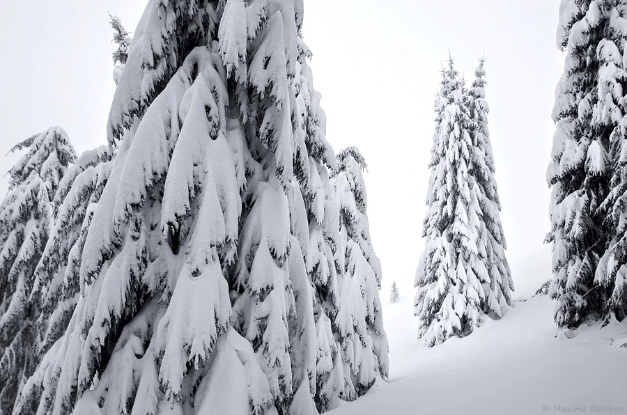 neige 141.jpg