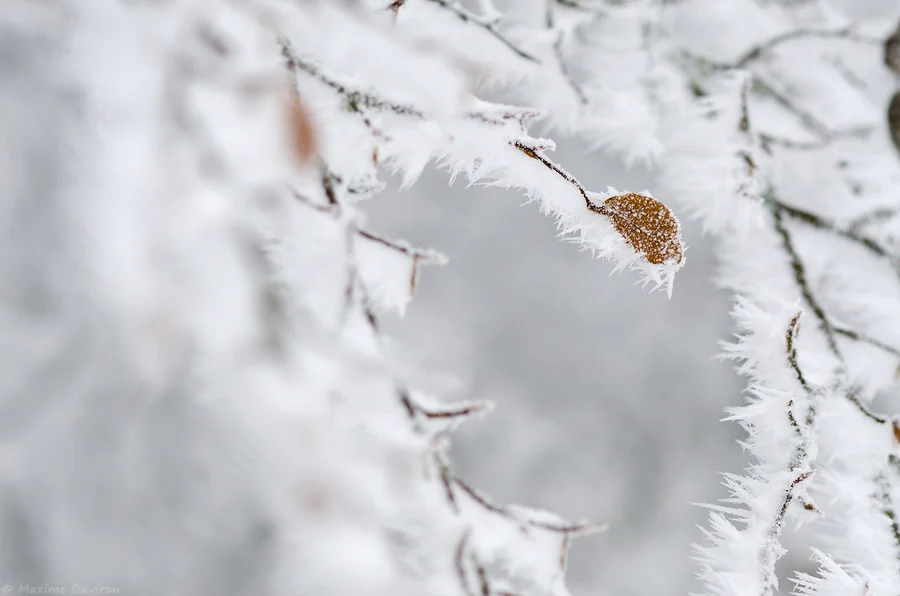 neige 174.jpg
