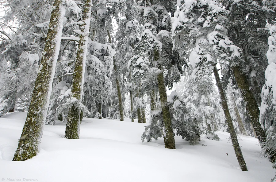 neige 210.jpg