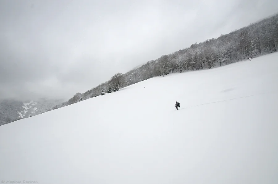 neige 239.jpg